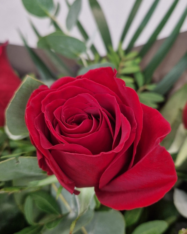 Love and Roses Gift Box