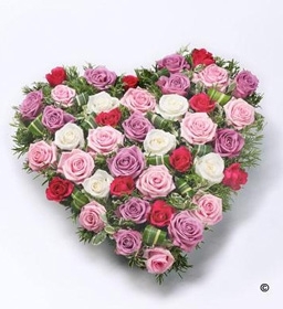Heart and Cushion