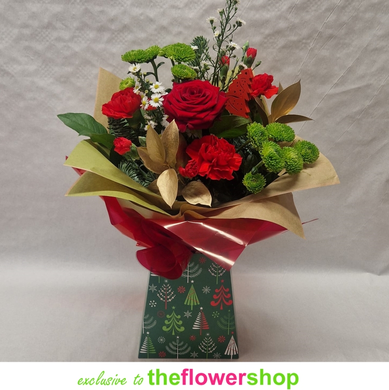 Tree box christmas gift 2009 card dec project O Christmas Tree Gift Box – buy online or call 01903 715668