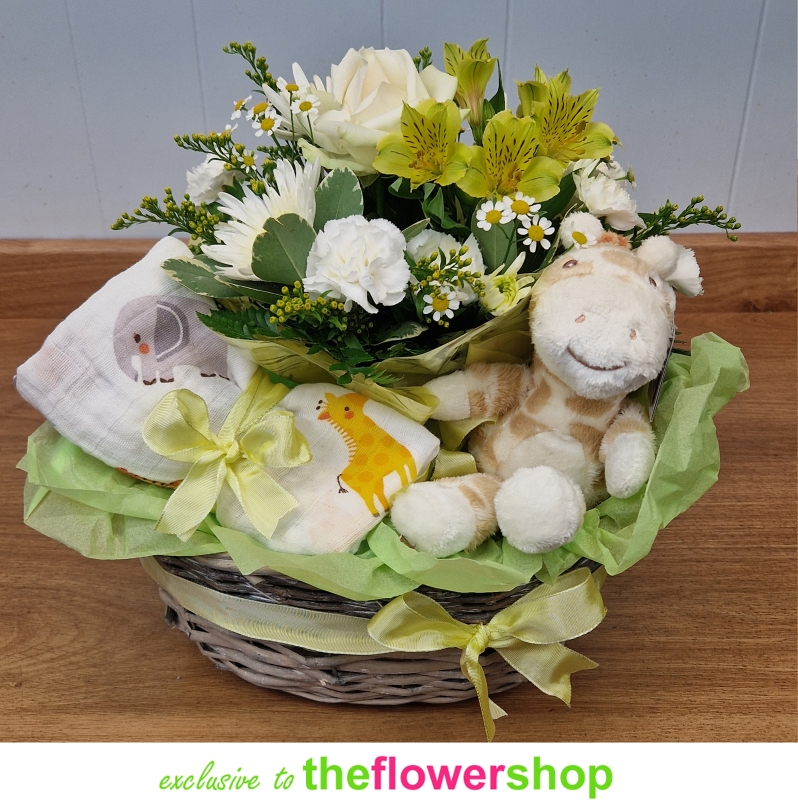 Bundle of Joy Gift Basket buy online or call 01903 715668