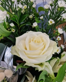 Festive Florist Choice Gift Box  White