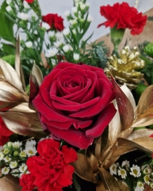 Festive Florist Choice Gift Box Red