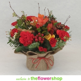 Festive Perfect Posy