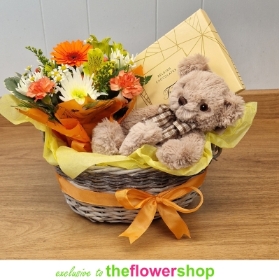 Teddy Bear Gift Basket