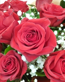 Classic 12 Red Rose Hand tied