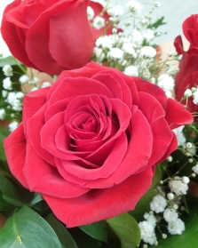 6 Red Rose Gift Box