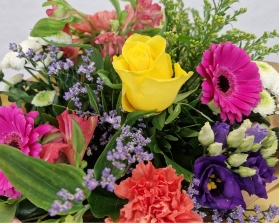 Bright N Beautiful Hand tied