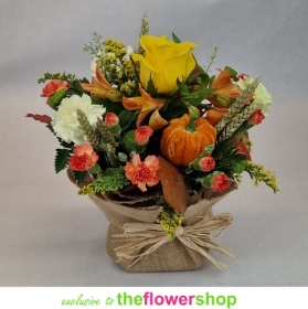 Pumpkin Patch Posy