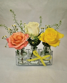 Trio of Roses