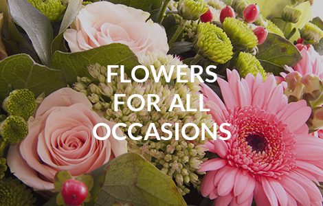 Flowers for All Occasions
