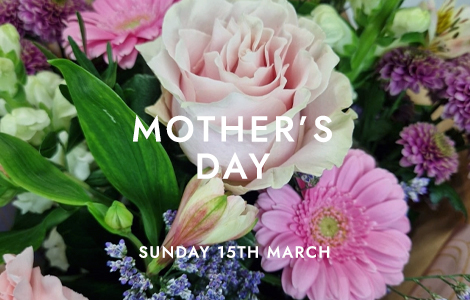 Valentines Day Flowers