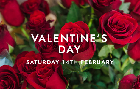 Valentines Day Flowers