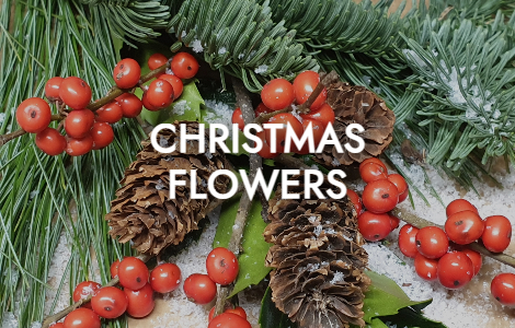 Christmas Flowers to Order